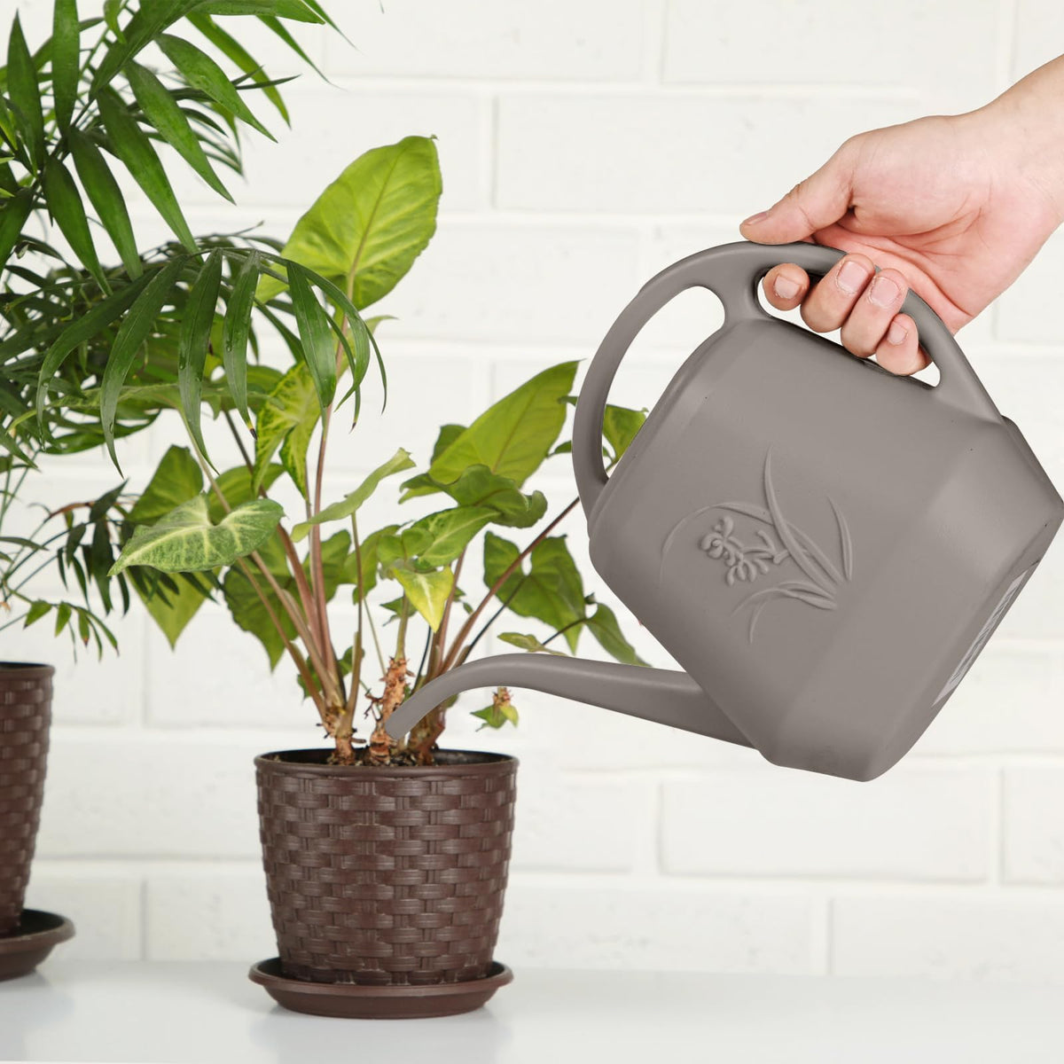 TTAOE GN 1-gallon size ideal for watering multiple pots in one go