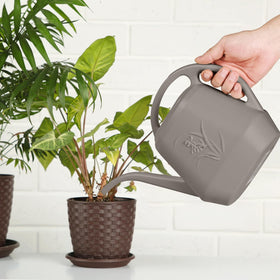 TTAOE GN 1-gallon size ideal for watering multiple pots in one go