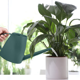 Blackish green finish on the TTAOE GN Pro Grip watering can.
