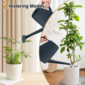TTAOE GN Watering Can long-stem spout enables controlled water flow.