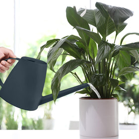 TTAOE GN Watering Can in grey color complements modern home décor.