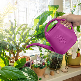 TTAOE GN half-gallon capacity for small plant collections