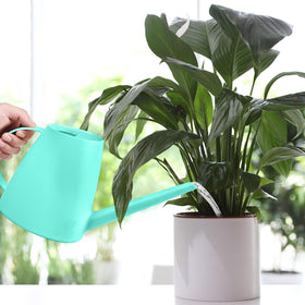 TTAOE GN half-gallon capacity can balance weight for houseplants