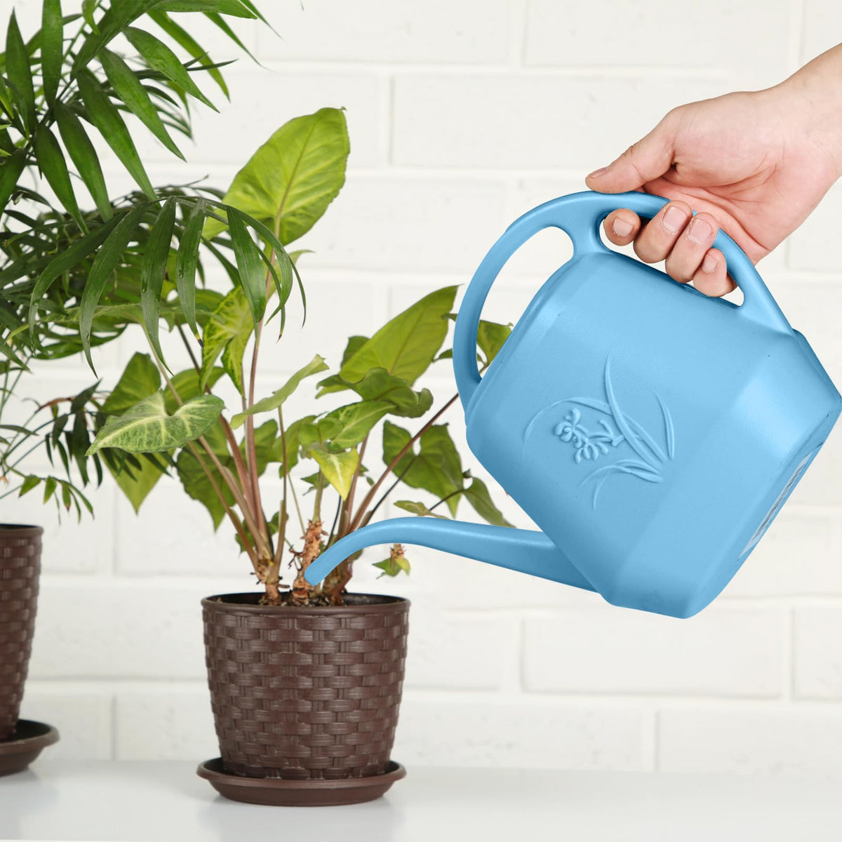TTAOE GN watering can perfect for home garden setups and balcony planters.