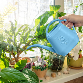 TTAOE GN watering can suitable for indoor and outdoor plant care.