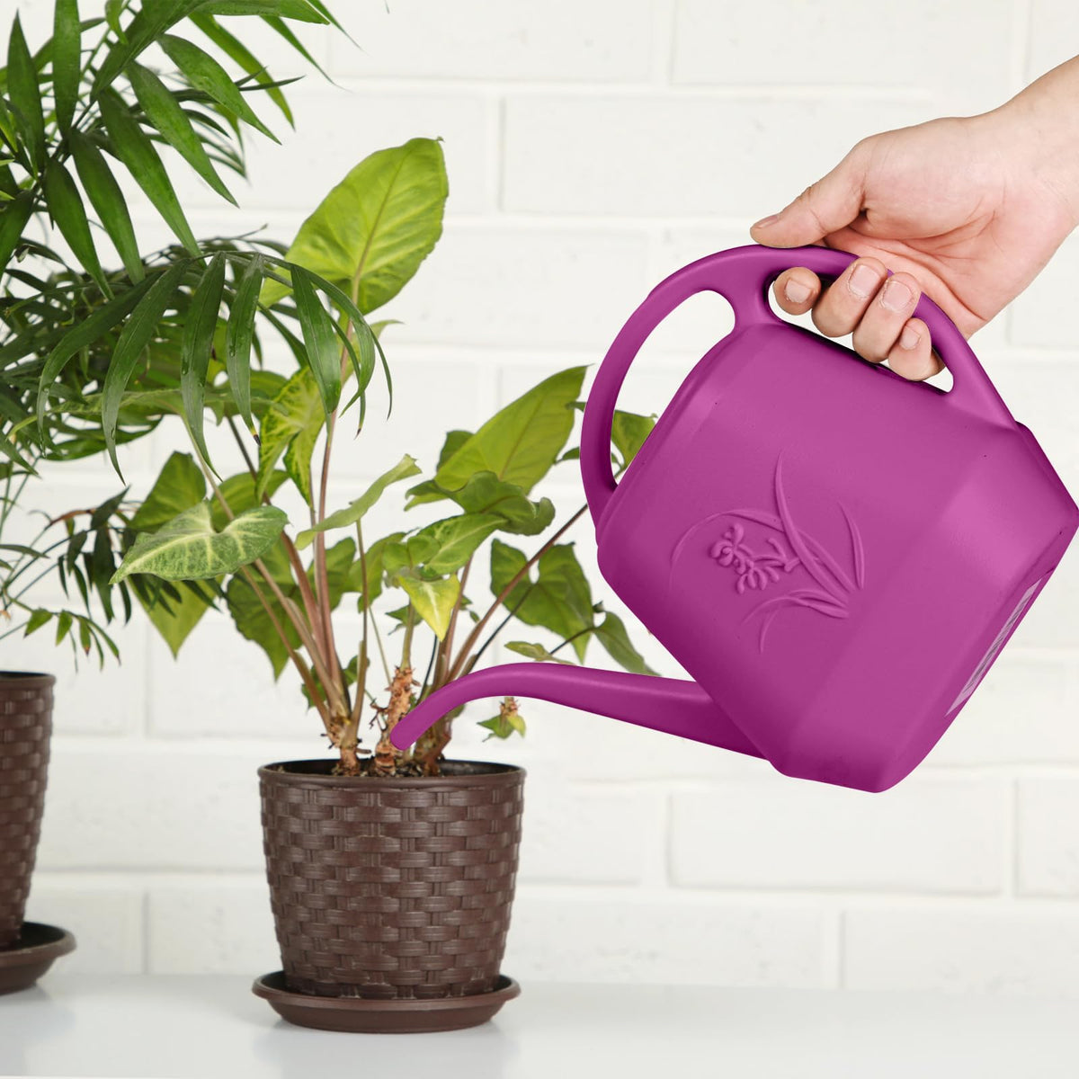 TTAOE GN rose red design adds decorative touch