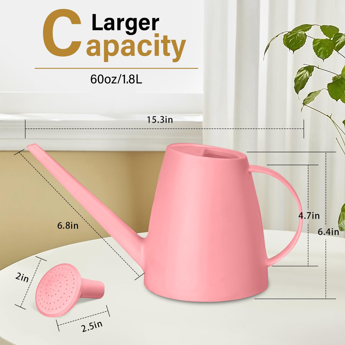 TTAOE GN watering can with removable sprayer for versatile use indoors and outdoors.