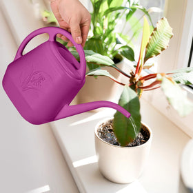 TTAOE GN watering can with warranty service support