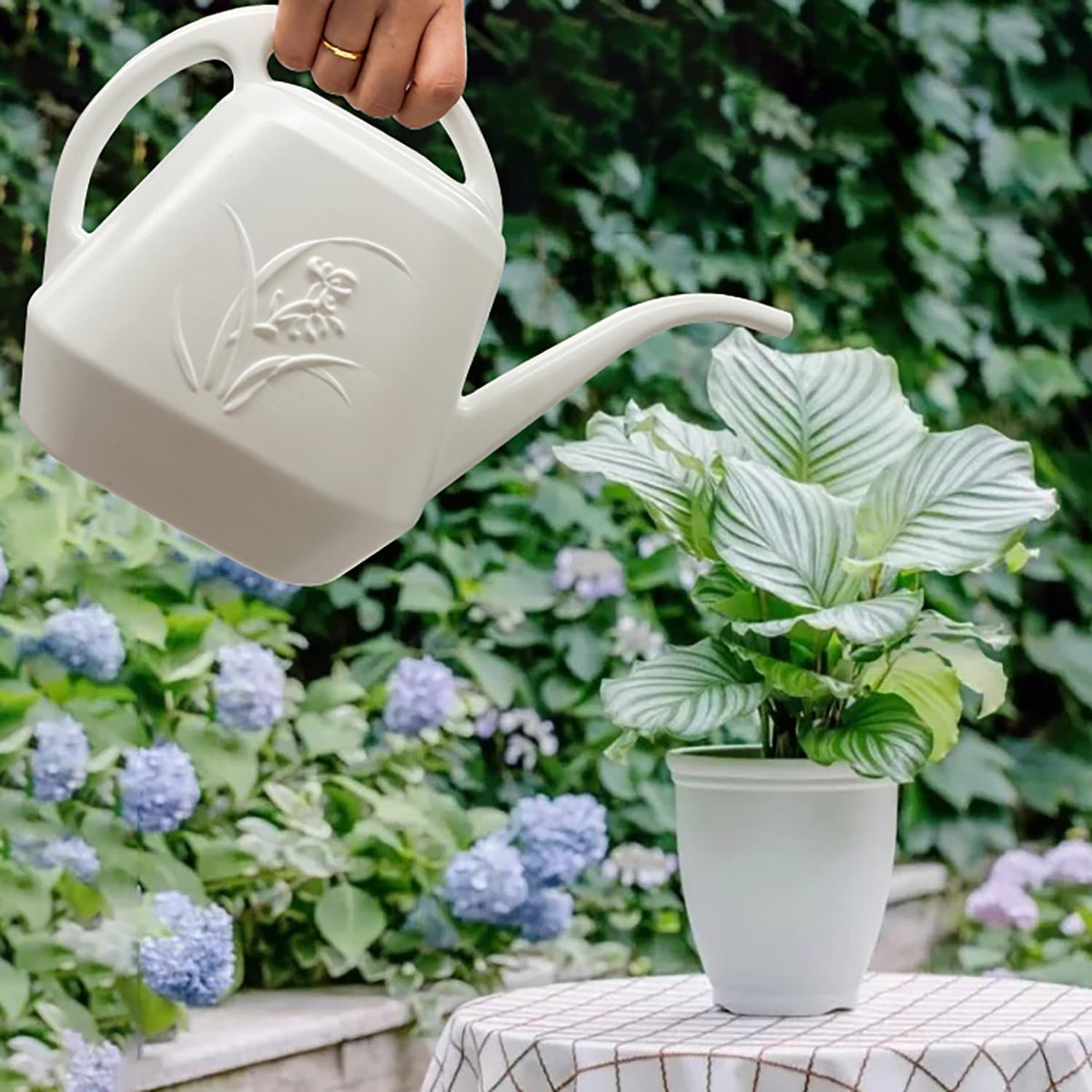 TTAOE GN watering can pouring action demonstrates controlled irrigation.