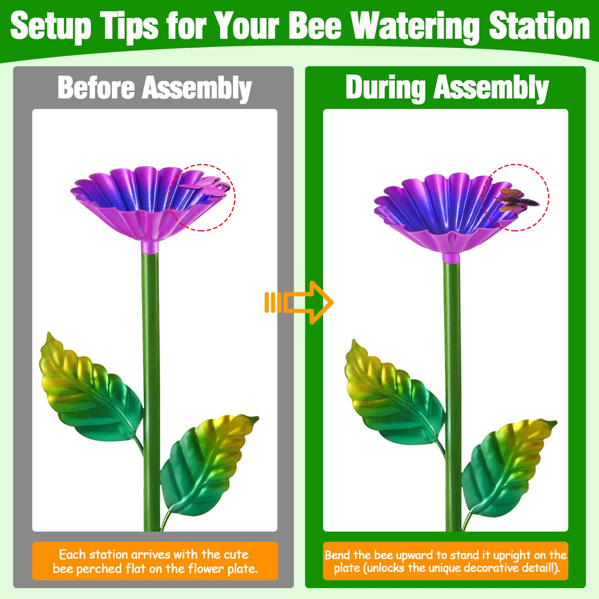 TTioDri bee watering station base in soil shows stable garden display