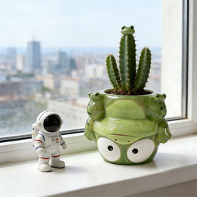 TTLOZC cartoon frog planter is perfect for cacti and small plants.