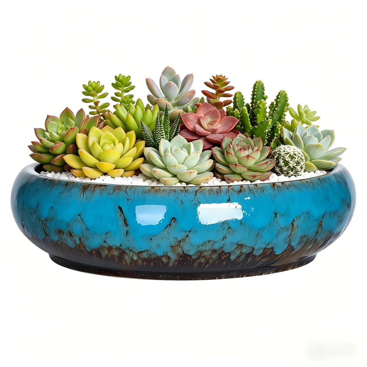 TTLOZC blue ceramic succulent pot close-up highlighting the glaze and drainage for indoor displays