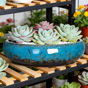 TTLOZC blue planter makes a thoughtful gift for plant lovers