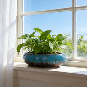 TTLOZC blue planter elevates home decor while showcasing greenery