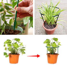 TTOVIA outdoor-indoor plant support ideal for versatile garden setups.