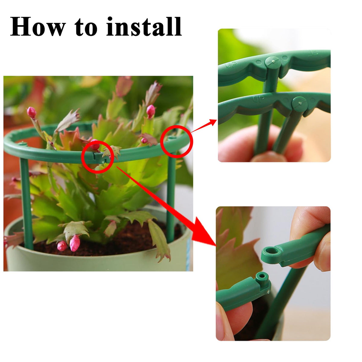 TTOVIA plant-support-ring compact guiding growth for compact houseplants.