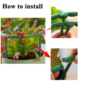 TTOVIA plant-support-ring compact guiding growth for compact houseplants.