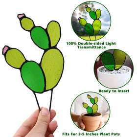 Tuitessine wilt-free gift idea for plant lovers.