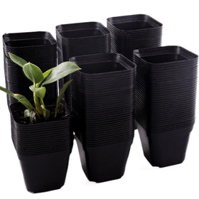 Tulpeed 200-pack square nursery pots for stable seedling start and efficient drainage.