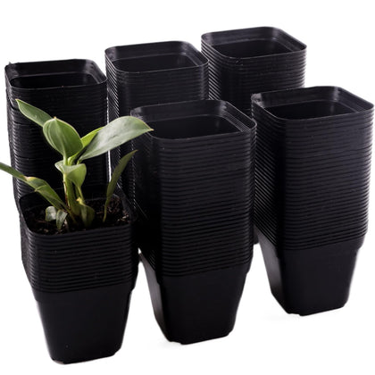 Tulpeed 200-pack square nursery pots for stable seedling start and efficient drainage.