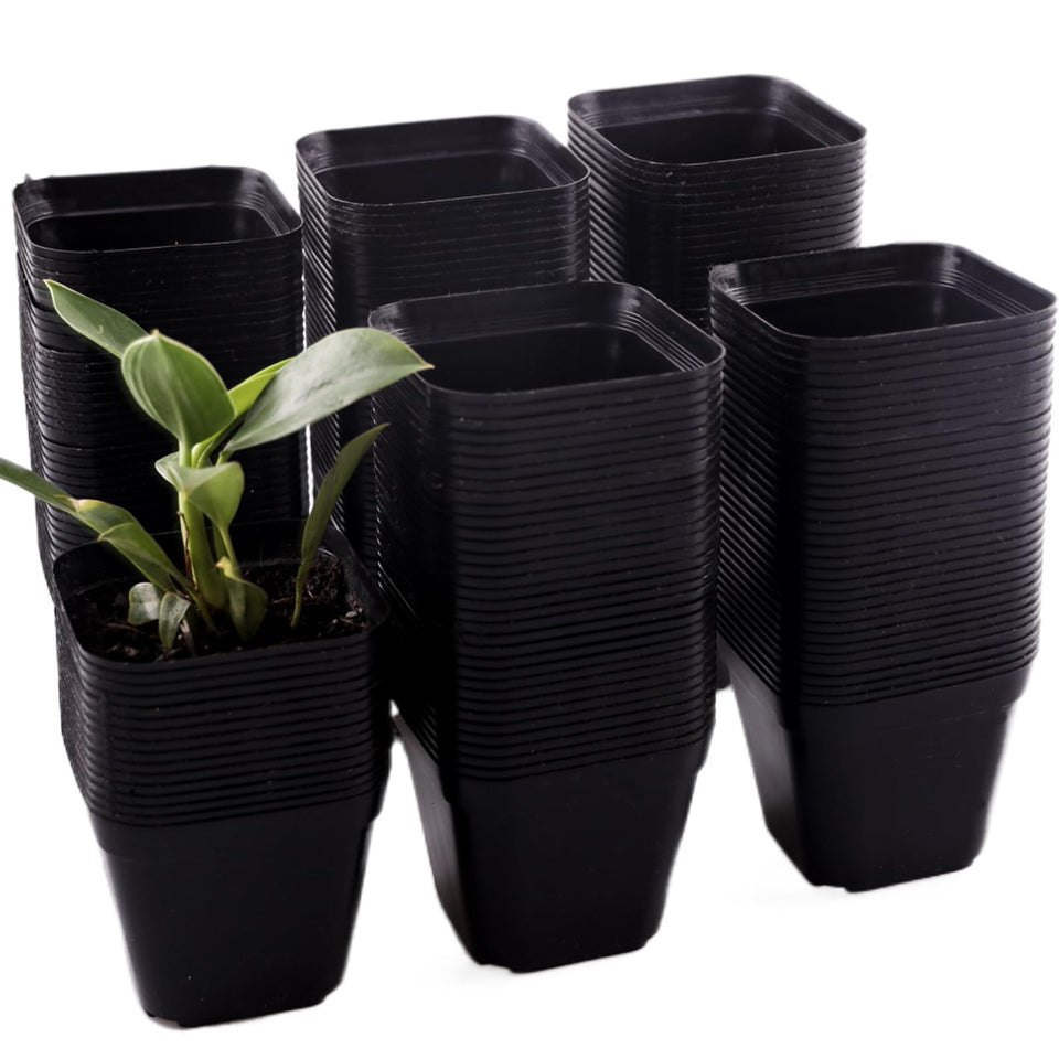 Tulpeed 200-pack square nursery pots for stable seedling start and efficient drainage.