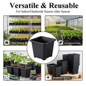 Tulpeed 25-pack nursery pots ready for home gardening and seed starting.