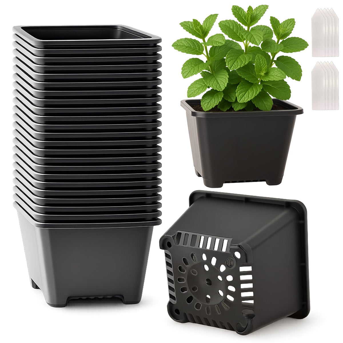 Tulpeed 25-pack square nursery pots for 4-inch plants, ideal for seedling start and versatile indoor or outdoor use.
