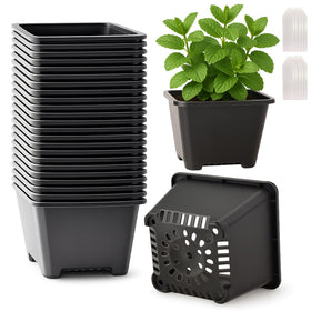 Tulpeed 25-pack square nursery pots for 4-inch plants, ideal for seedling start and versatile indoor or outdoor use.