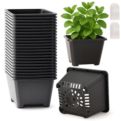 Tulpeed 25-pack square nursery pots for 4-inch plants, ideal for seedling start and versatile indoor or outdoor use.