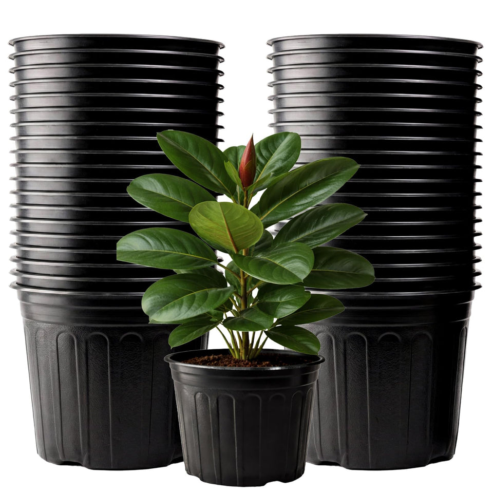 Tulpeed 50-pack nursery pots in cylinder shape, ideal for starting seedlings.