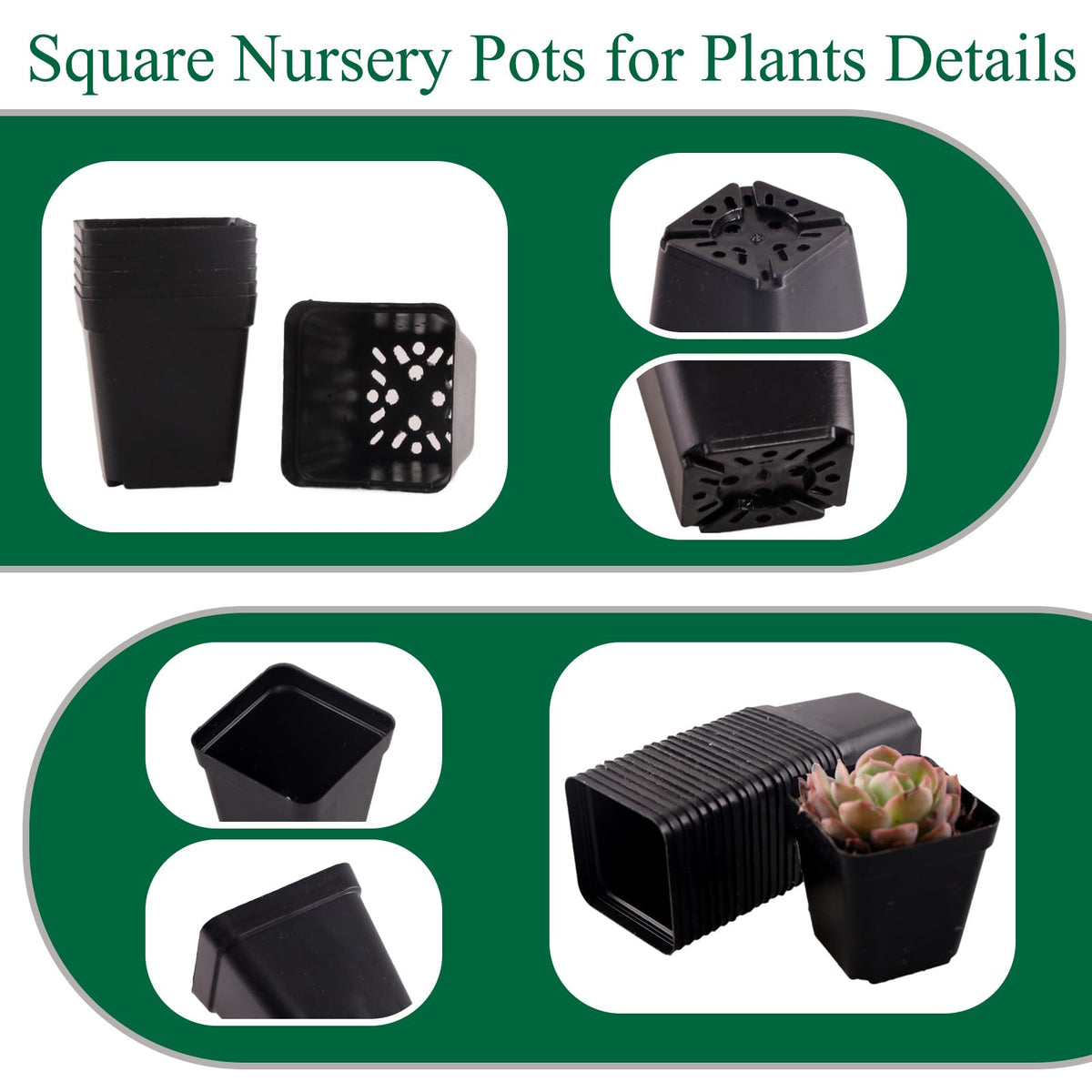 Tulpeed black PP seedling pots are durable for reuse across seasons.