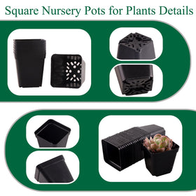 Tulpeed black PP seedling pots are durable for reuse across seasons.