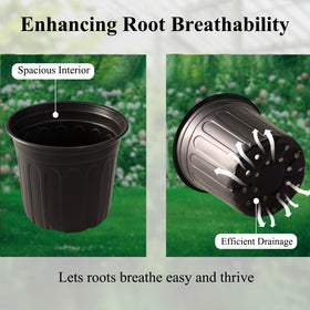 Close-up of black seedling pots highlighting durable plastic and drainage.