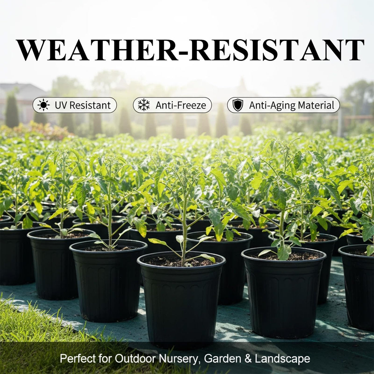 Includes plant labels to organize varieties and track progress.