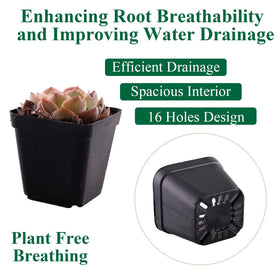 Tulpeed nursery pots with drainage holes support healthy root airflow.
