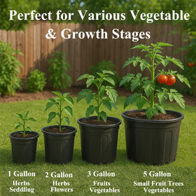 Stable cylinder design prevents tipping during watering and growth.