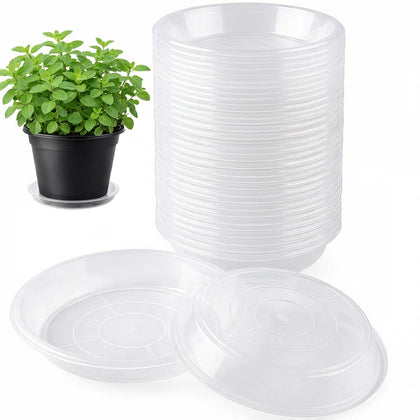 Tulpeed plant saucer 6-inch round demonstrates a clean edge and compact footprint for small pots