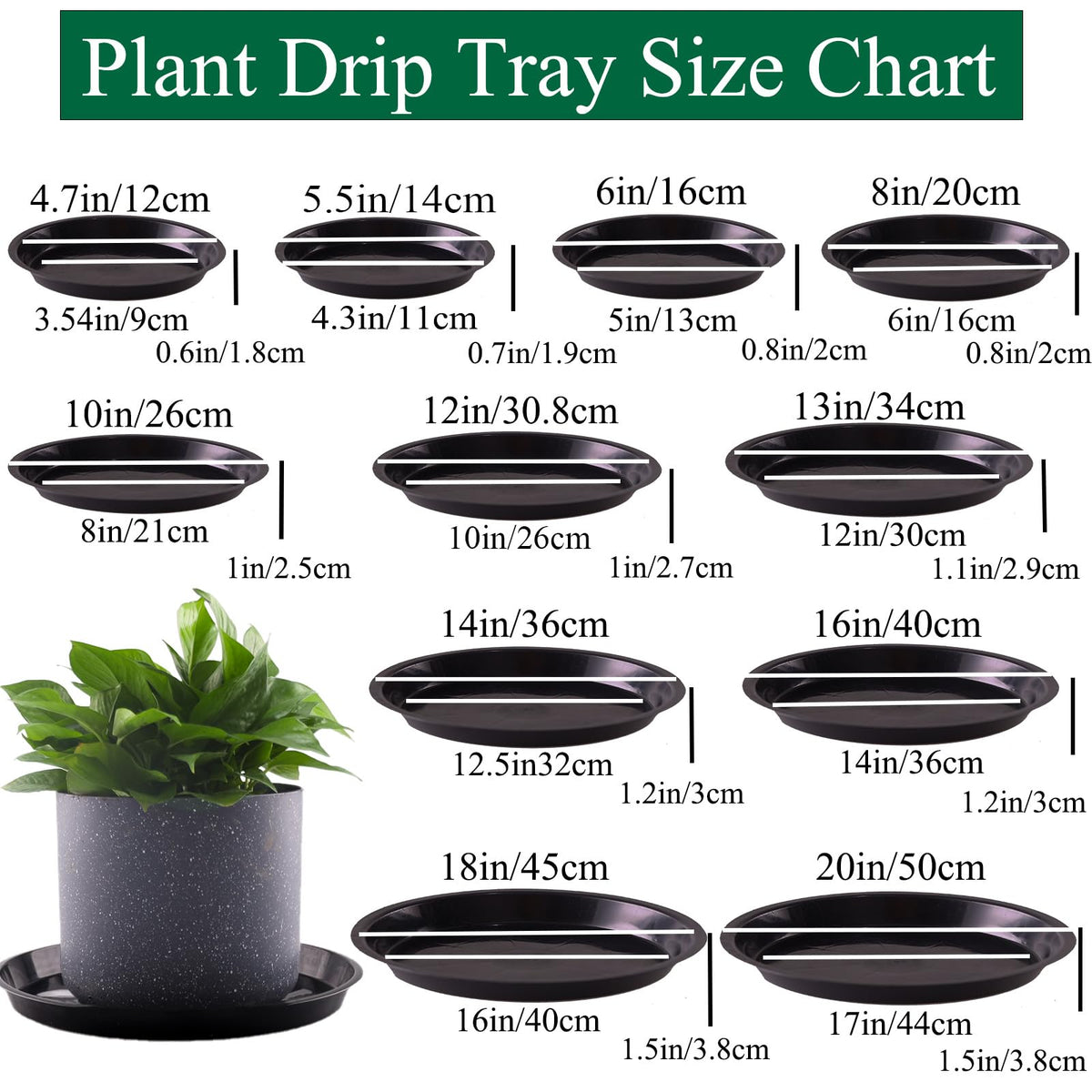 Tulpeed plant saucer 6-inch fits medium pots for tidy drainage