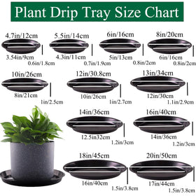 Tulpeed plant saucer 6-inch fits medium pots for tidy drainage
