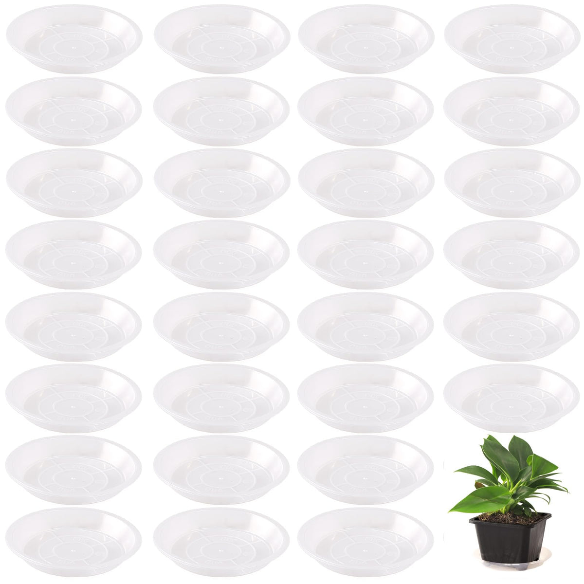 Tulpeed plant saucer clear tray 5-inch catching excess water to protect floors