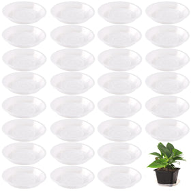 Tulpeed plant saucer clear tray 5-inch catching excess water to protect floors