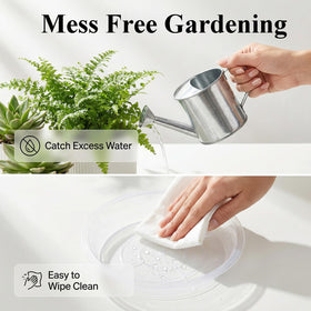 Tulpeed plant saucer works indoors and outdoors for versatile plant care