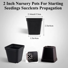 Tulpeed PP plastic seedling pots offer reusable durability for seasonal gardening.