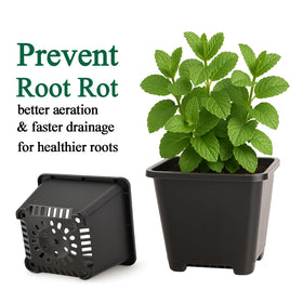 Tulpeed square-design nursery pot provides stability to prevent tipping during care.