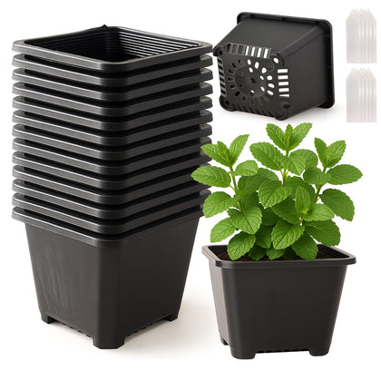 Tulpeed square nursery pot with drainage holes, ideal for seed starting and plant health.