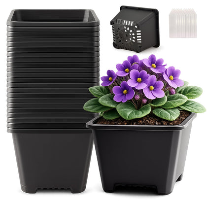Tulpeed square pots top view, 5.5-inch size, ideal for seed starting