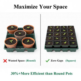 Tulpeed 4-inch square pots provide stable bases to prevent tipping during watering.