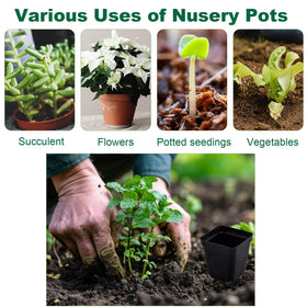 Tulpeed seed-starting set supports efficient transplanting and plant health.
