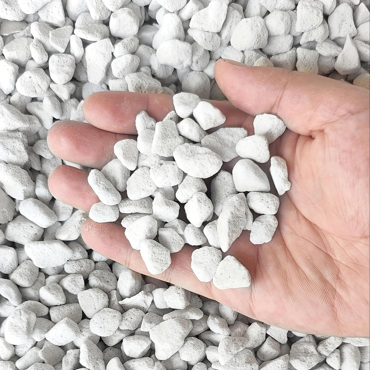 Tunleki perlite in hydroponics supports better water movement and root airflow.