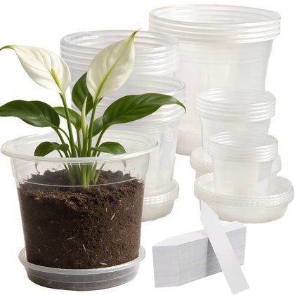 Tuphuvy clear nursery pot 3-inch with drainage holes for seed starting and monitoring